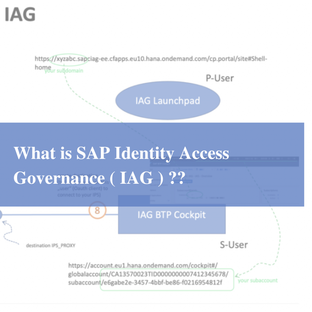 What Is SAP (IAG) Identity Access Governance ? - Mentors Pool